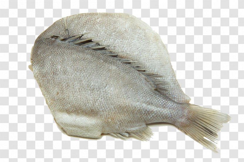 Dried Fish Stock Photography - Sole - Japan Closeup Transparent PNG