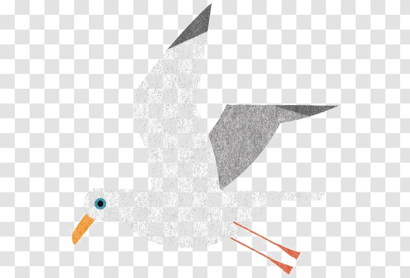 Bird Japan Gulls Illustrator Illustration - Text - Cartoon Seagull Transparent PNG
