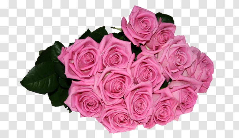 Garden Roses Cabbage Rose Flower Bouquet Cut Flowers Birthday - Order Transparent PNG