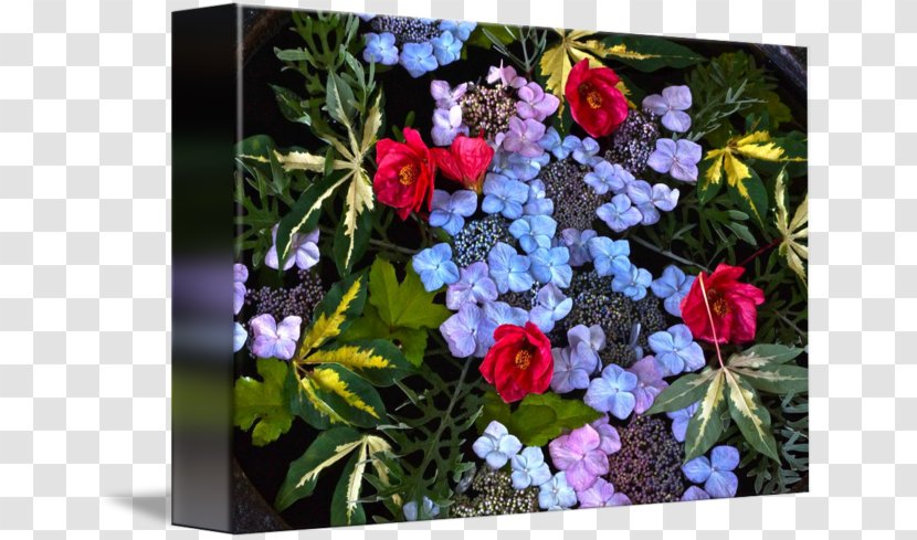Floral Design Cut Flowers Flower Bouquet - Pollinator - Floating Transparent PNG