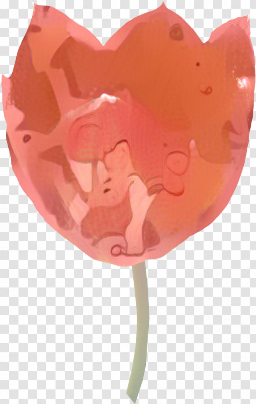 Valentines Day Heart - Love - Plant Lollipop Transparent PNG