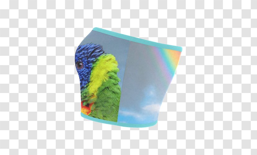 Macaw Parakeet Loriini Plastic Cosmetic & Toiletry Bags - Organism - Lories And Lorikeets Transparent PNG