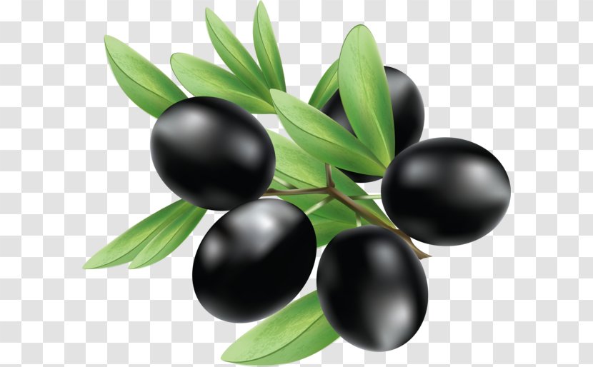 Olive - Food Transparent PNG
