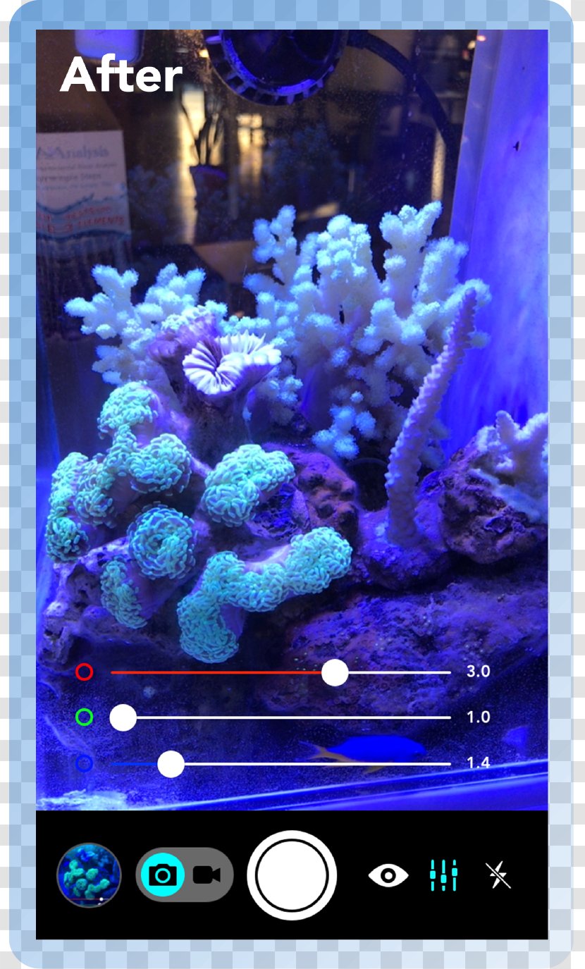 Aquarium Lighting Coral Reef Actinism - Technology Transparent PNG