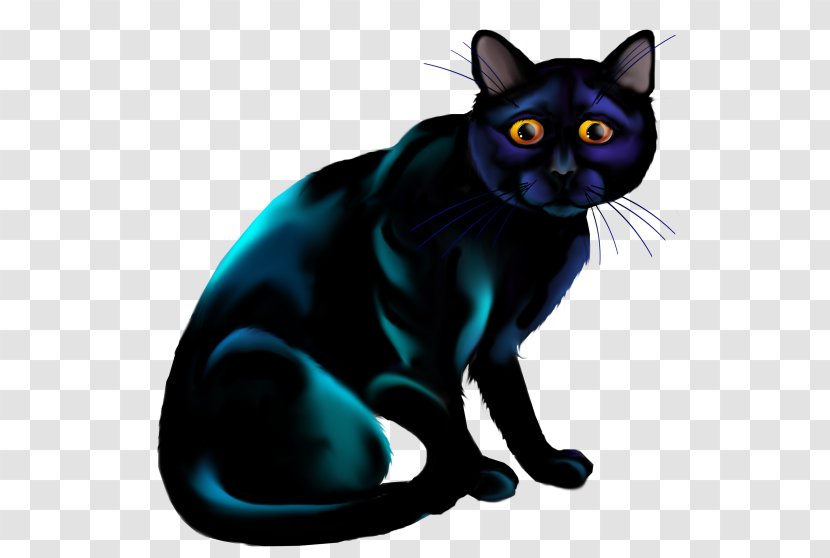 Black Cat Kitten Whiskers Domestic Short-haired - Paw - Bombay Transparent PNG