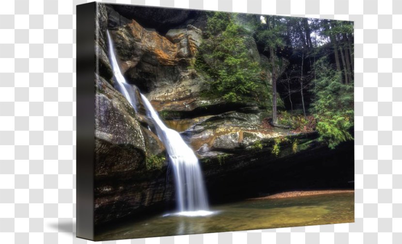Waterfall Cedar Falls Nature Reserve Water Resources Rainforest - Gallery Wrap - Body Of Transparent PNG