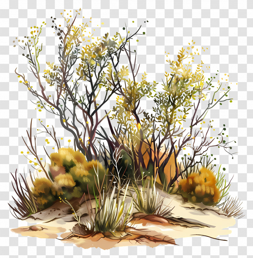 Shrubland - Desert Bushes And Shrubs Transparent PNG