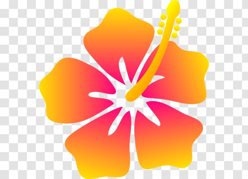 Hawaii Drawing Flower Floral Design - Lei - Lomi Transparent PNG