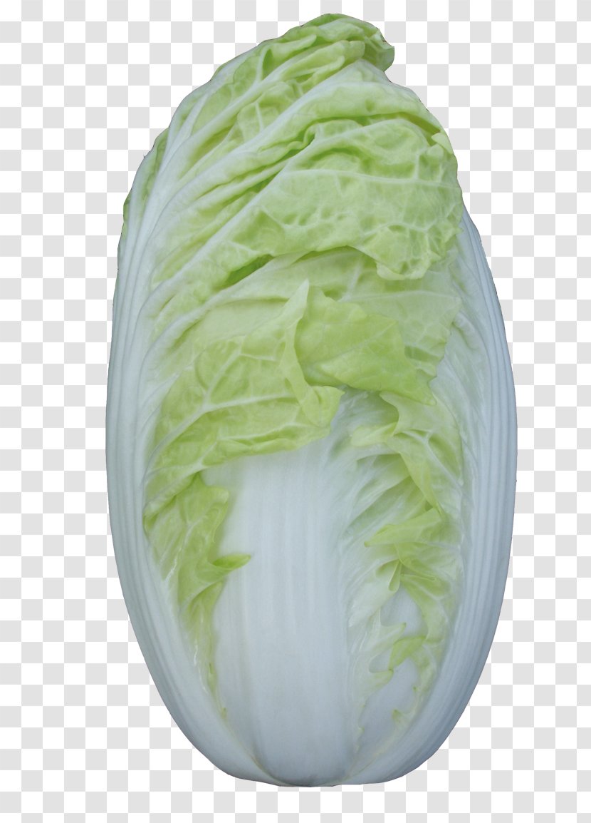 Red Cabbage Vegetable Chinese Napa Transparent PNG