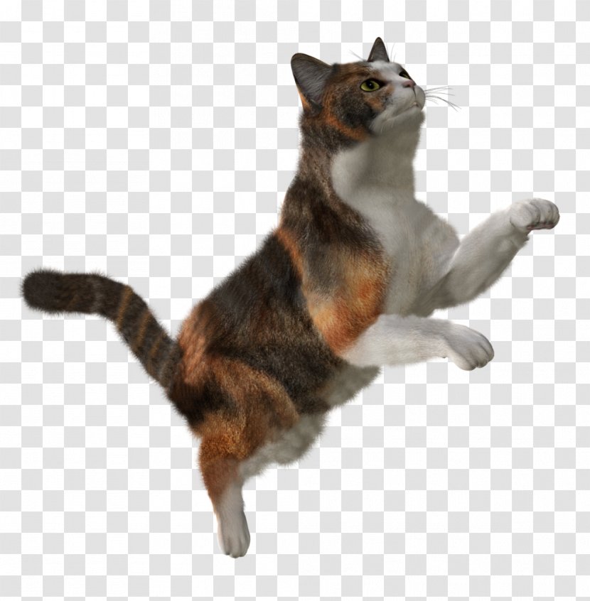 Cat Kitten Clip Art - Tail - Cats Transparent PNG