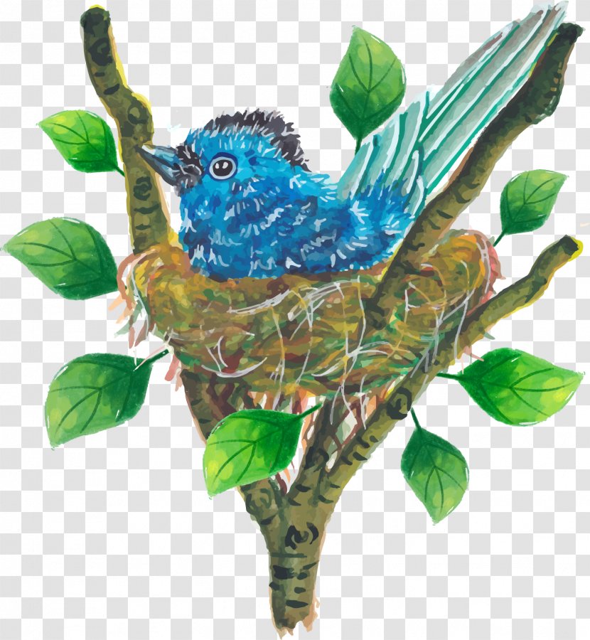 Bird Nest Passerine Euclidean Vector - Beak - Branches On The Transparent PNG