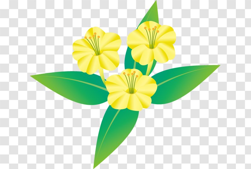 Illustration Marvel-of-peru Flower Art Royalty-free - Plants - Cut Flowers Transparent PNG
