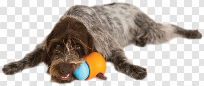 Wirehaired Pointing Griffon Dog Toys Cat Puppy - Pet Transparent PNG