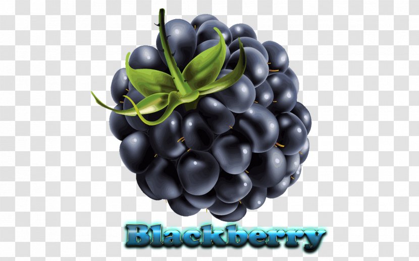BlackBerry Priv KEYone Messenger - Blackberry Passport Transparent PNG