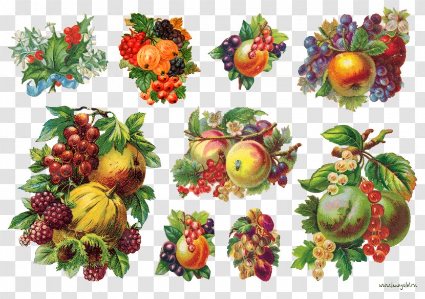 Berry Fruit Food Paper Vegetable - Raspberry - Berries Transparent PNG