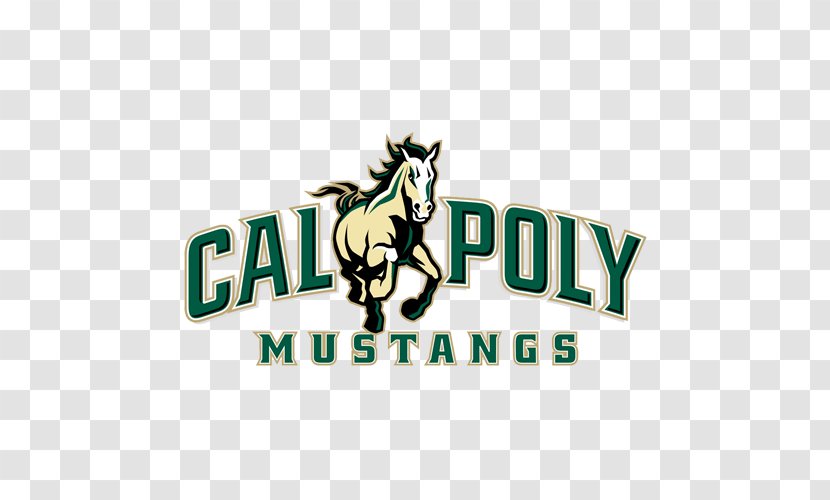 California Polytechnic State University Cal Poly San Luis Obispo College Of Engineering University, Los Angeles Mustangs Football - Las Vegas Aces Transparent PNG