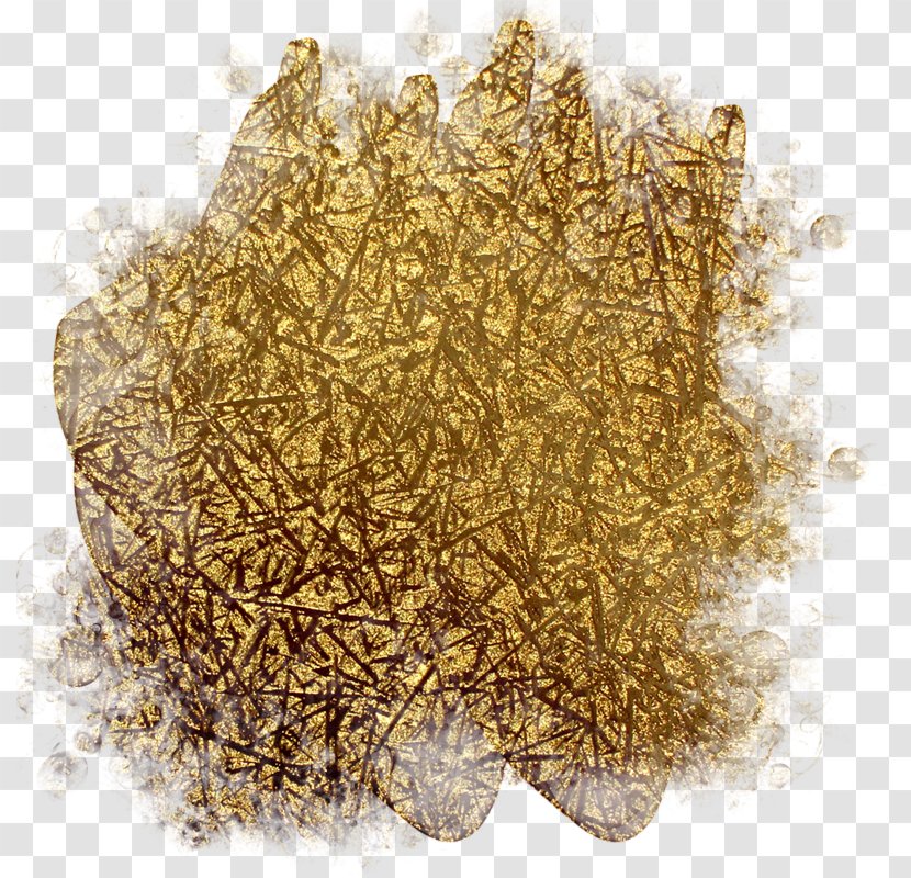 Bay Leaf Cajun Cuisine Spice Herb Flavor - Seasoning - Gold Foil Paper Transparent PNG