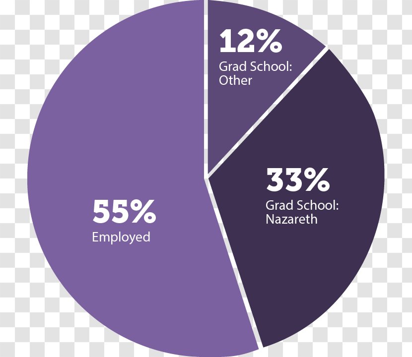 Pie Chart Student University School Statistics - Finger Lakes Transparent PNG