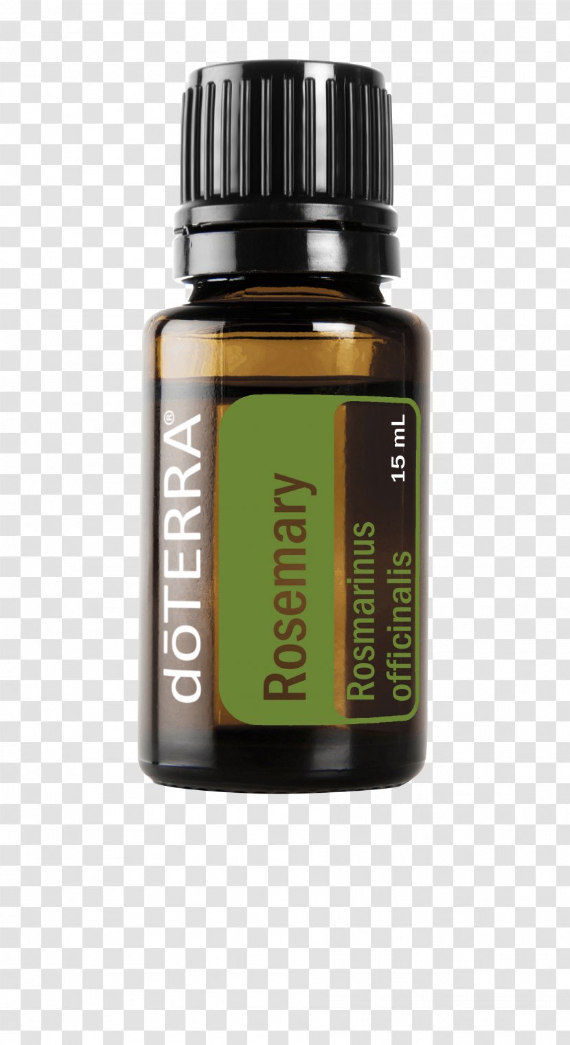 Peppermint DoTerra Essential Oil Lavender - Mint Transparent PNG