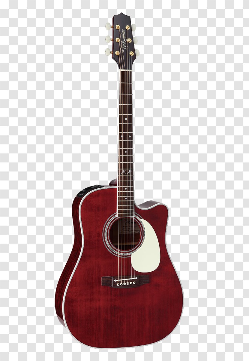 Takamine Guitars Twelve-string Guitar Acoustic-electric Dreadnought Acoustic - Frame Transparent PNG