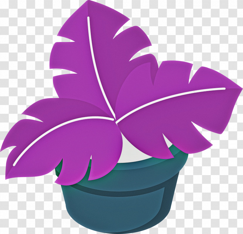 Leaf Plant Stem Flowerpot Petal Houseplant Transparent PNG