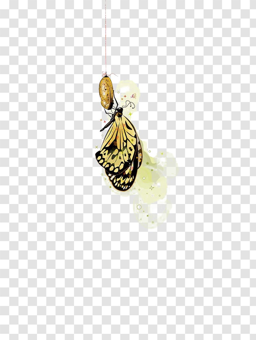 Butterfly Yellow Insect Membrane Pattern - Pollinator Transparent PNG