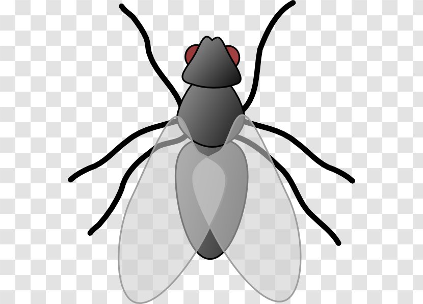 Fly Clip Art - Black And White - Mantis Cartoon Cliparts Transparent PNG