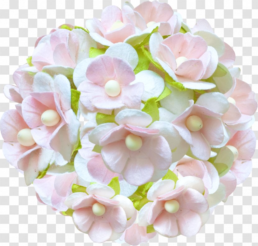 Flower Blog Child - Bouquet - WEDDING FLOWERS Transparent PNG