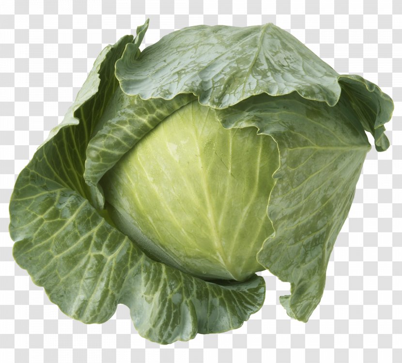 Savoy Cabbage Red Cauliflower Brussels Sprout - Lettuce Transparent PNG