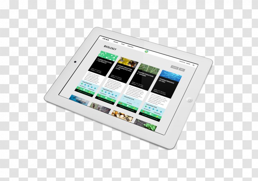 Electronics Gadget Multimedia - Accessory Transparent PNG