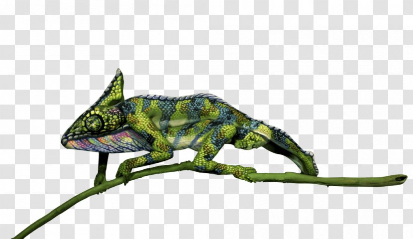Chameleons Reptile Lizard Animal - Chameleon Transparent PNG