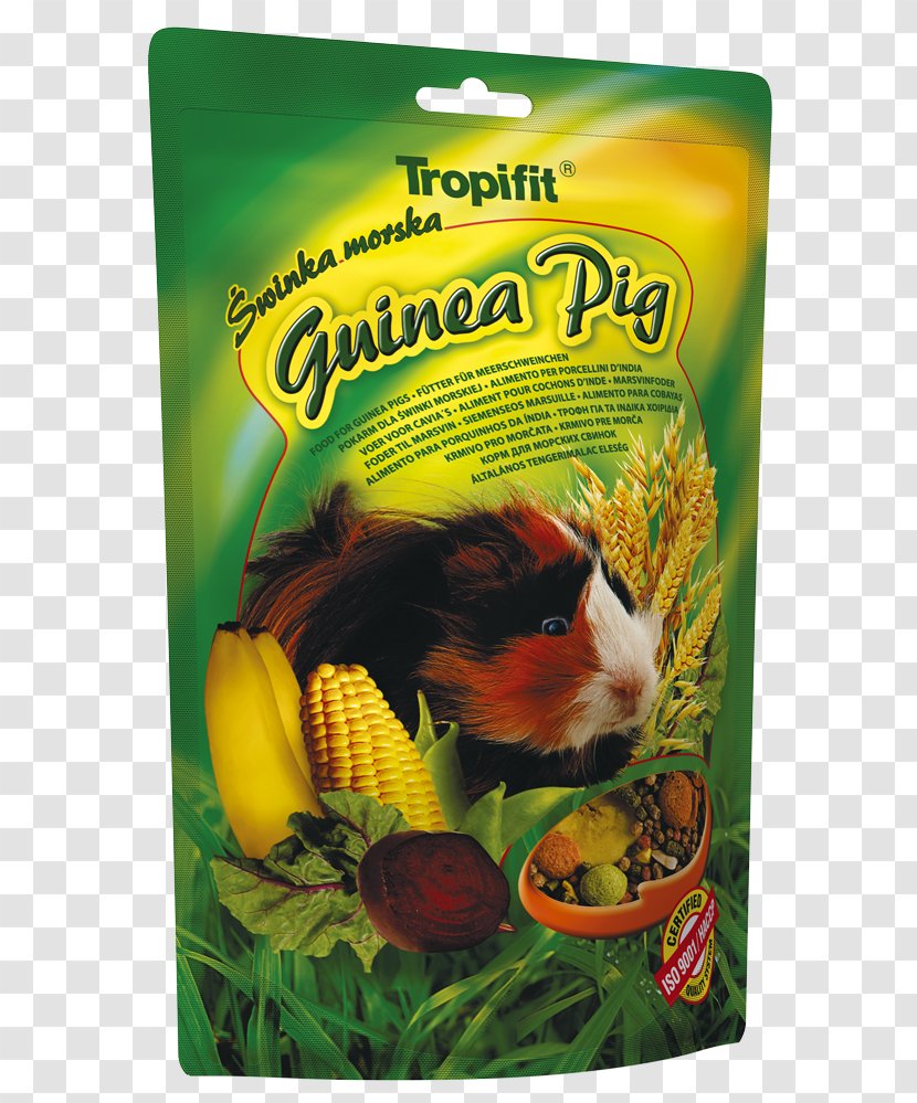 Guinea Pig European Rabbit Food - Pet Shop Transparent PNG
