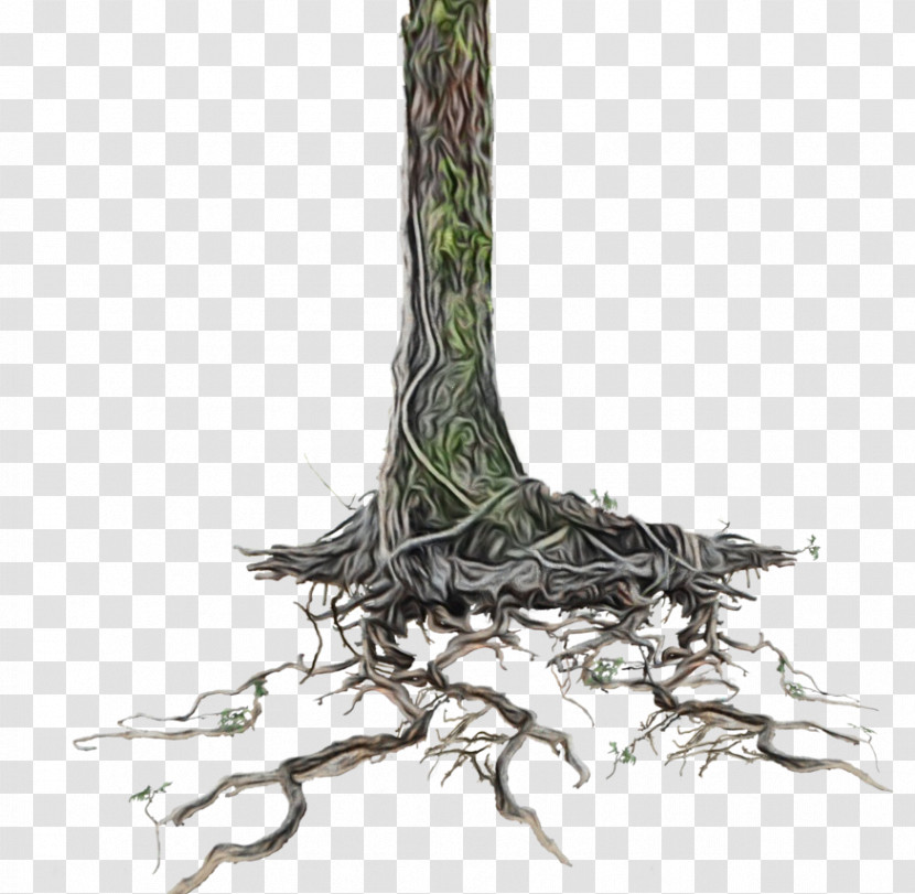 Plant Stem Twig Tree Plant Root Transparent PNG