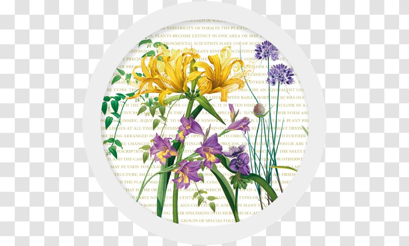 Floral Design Cut Flowers Flower Bouquet Graphic Arts - Trademark Transparent PNG