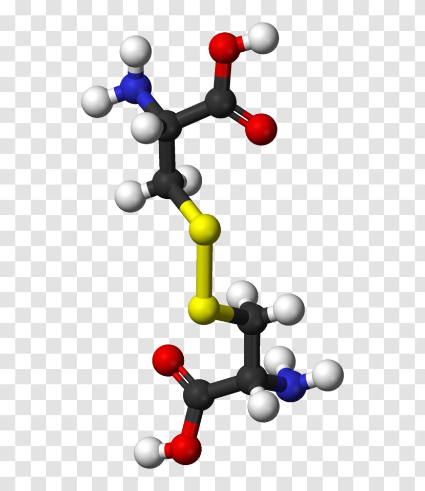 Cystine Cysteine Disulfide SLC7A11 Amino Acid - Dimer Transparent PNG
