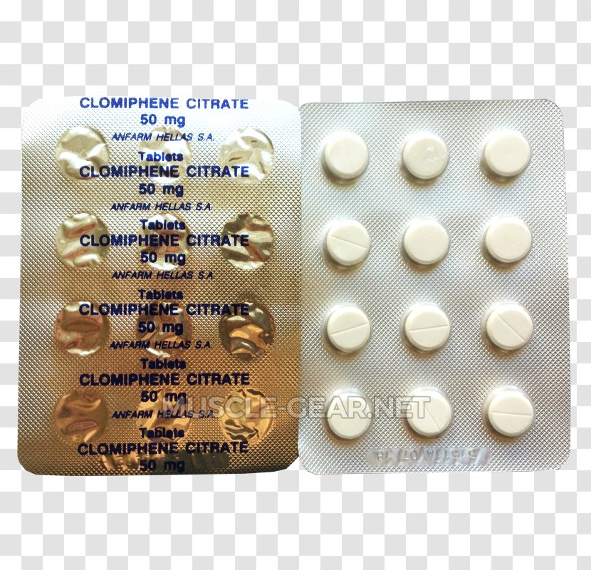 Clomifene Pharmaceutical Drug Testosterone Therapy Anfarm - Sleep Cycle Alcohol Transparent PNG