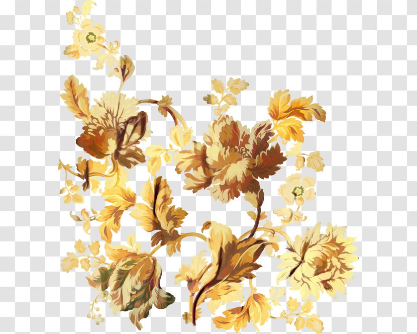 Floral Background - Plant - Wildflower Petal Transparent PNG