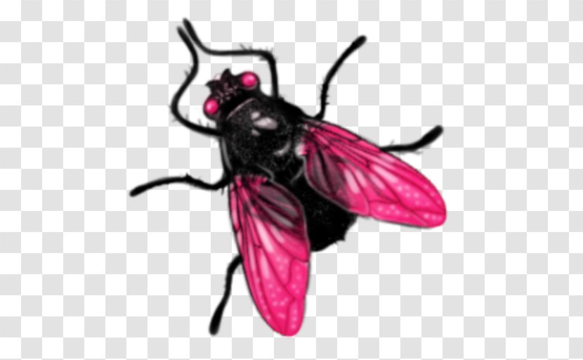 Fly - Fictional Character - Flower Transparent PNG