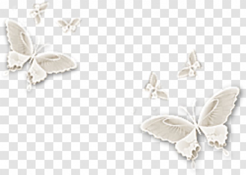 Earring Lace Ornament - Silver - Insect Transparent PNG