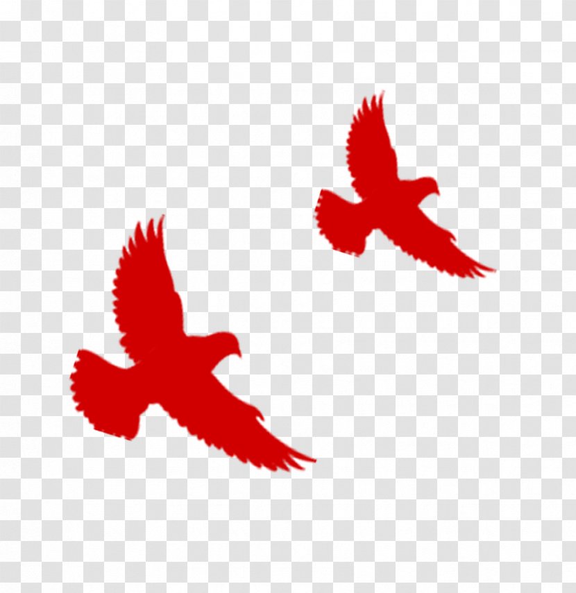 Flight Hongmian Bird Red - Flying Eagles Transparent PNG