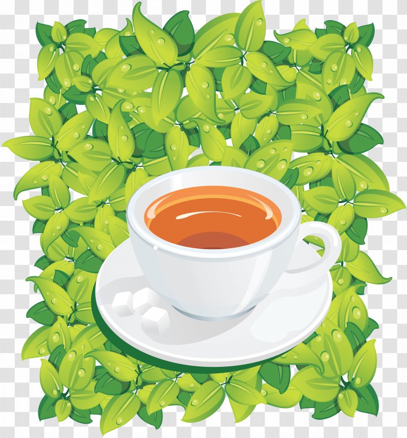 Tea - Drink - Herb Transparent PNG