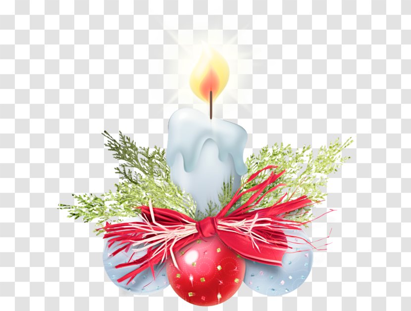 Christmas Decoration - Plant - Holiday Ornament Colorado Spruce Transparent PNG