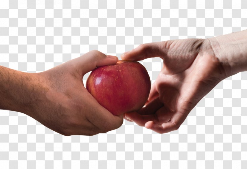 The Daily Evergreen Cosmic Crisp Associated Students Of Washington State University - Finger - Apple Transparent PNG