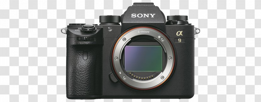 Mirrorless Interchangeable-lens Camera Sony α9 α7R II Lens - Digital Photography Transparent PNG