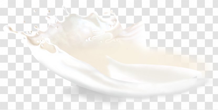 White Petal - Cream - Milk Transparent PNG
