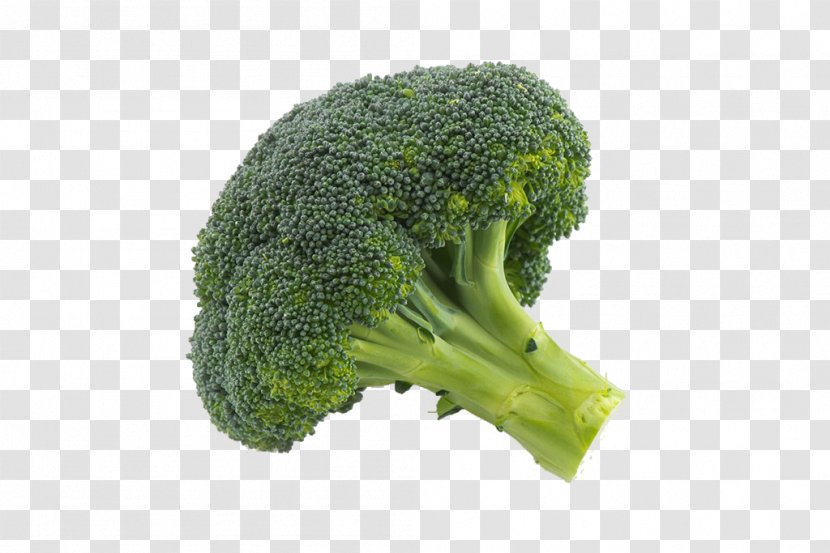 Broccoli Vegetable Drawing - Cauliflower - Close-up Image Transparent PNG