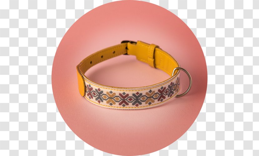 Belt Buckles Strap Wristband Transparent PNG