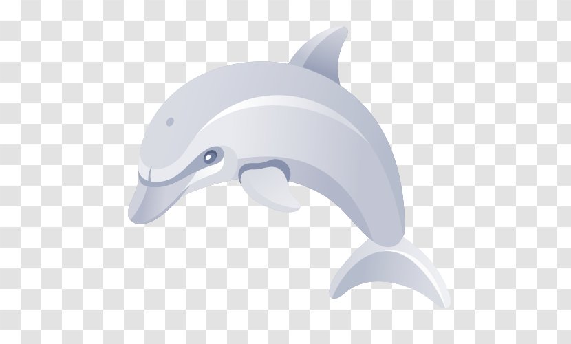 Common Bottlenose Dolphin Short-beaked Tucuxi Cartoon - Dolphins Transparent PNG
