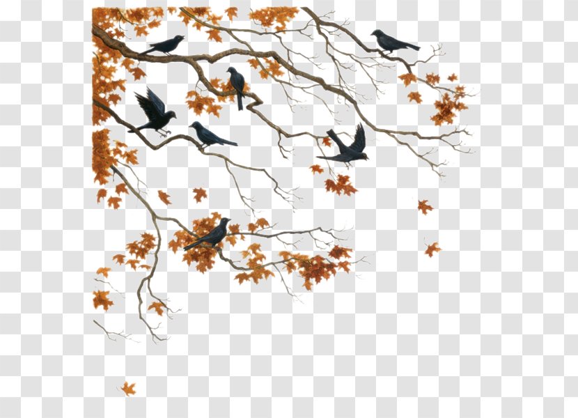 Bird Tree Autumn Hijab Flight - Herbes Transparent PNG