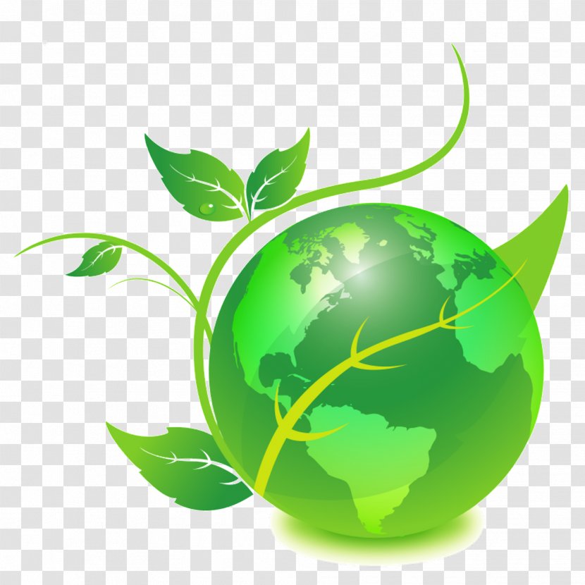 Vastu Shastra Health Groveland Triangle Nursery LLC Cleaning - Earth Transparent PNG